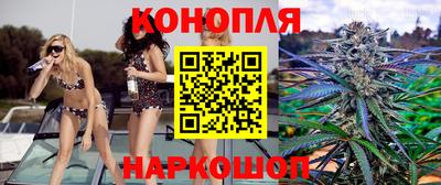 крисы Гулькевичи