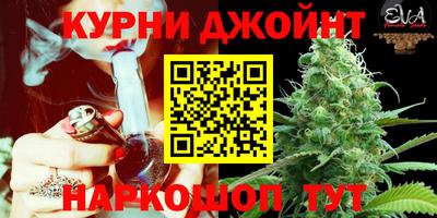 крисы Гулькевичи