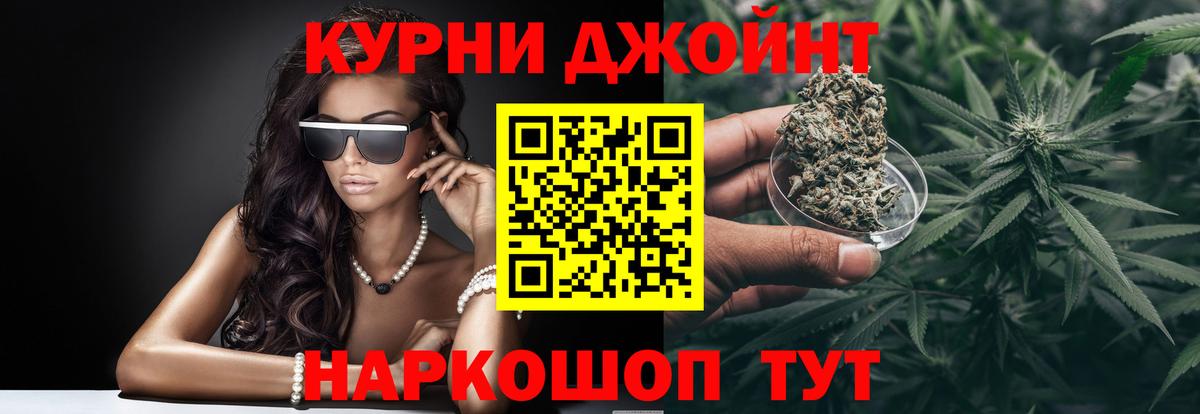 Конопля сатива Грязи